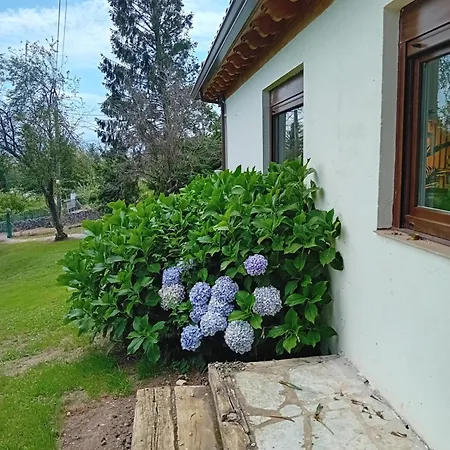 Casa Tino Feriehus Obregón