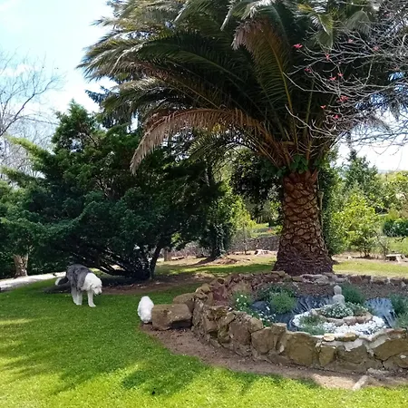 Feriehus Casa Tino *