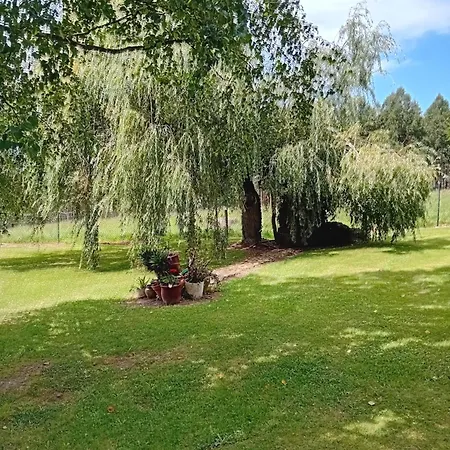 Feriehus Casa Tino Obregón